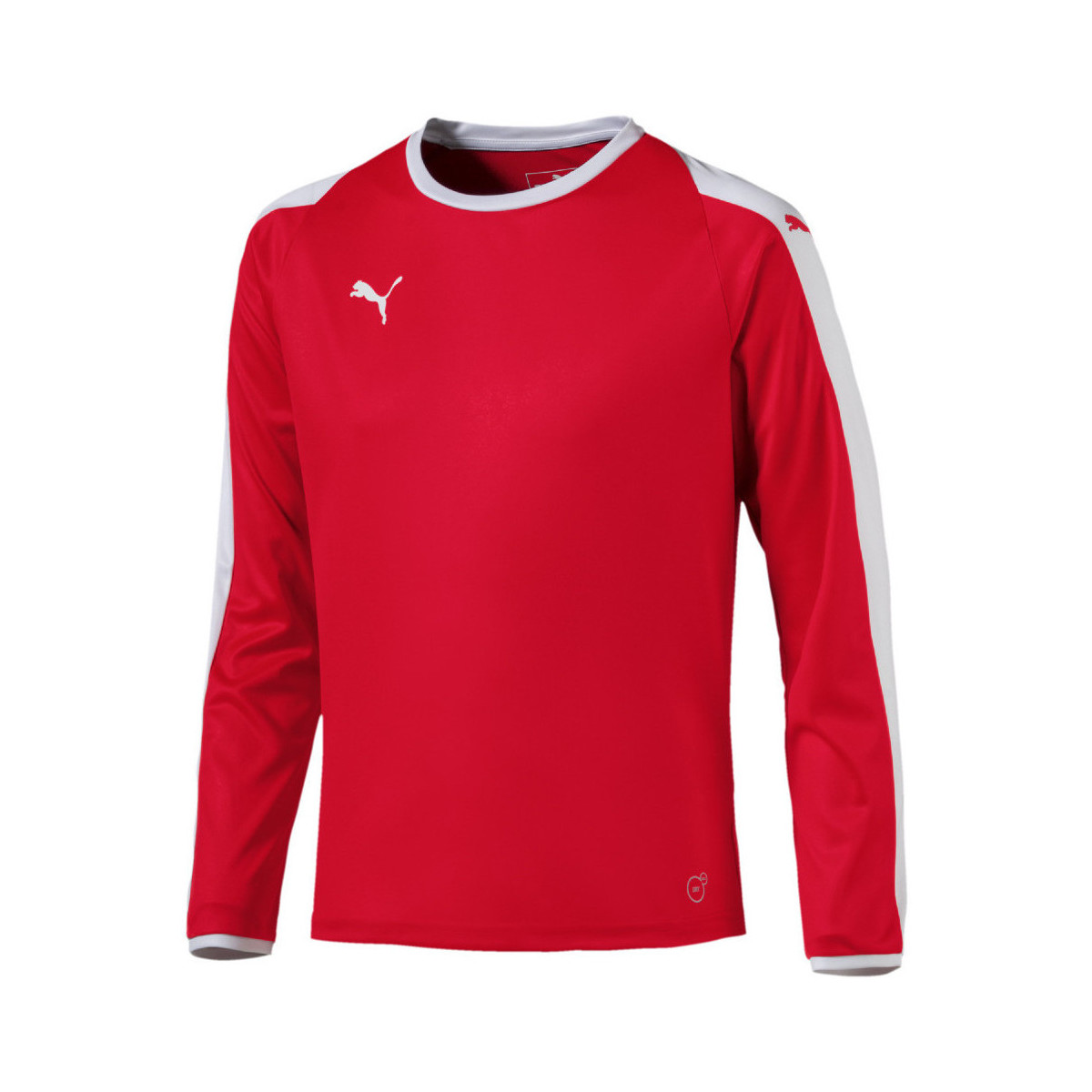 Vêtements Garçon T-shirts & Polos Puma 703421-01 Rouge