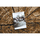 Maison & Déco Tapis Rugsx BCF Rug Morad PIEŃ Arbre Bois - gris / beige / vi 120x170 cm Doré
