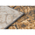 Maison & Déco Tapis Rugsx BCF Rug Morad PIEŃ Arbre Bois - gris / beige / vi 120x170 cm Doré