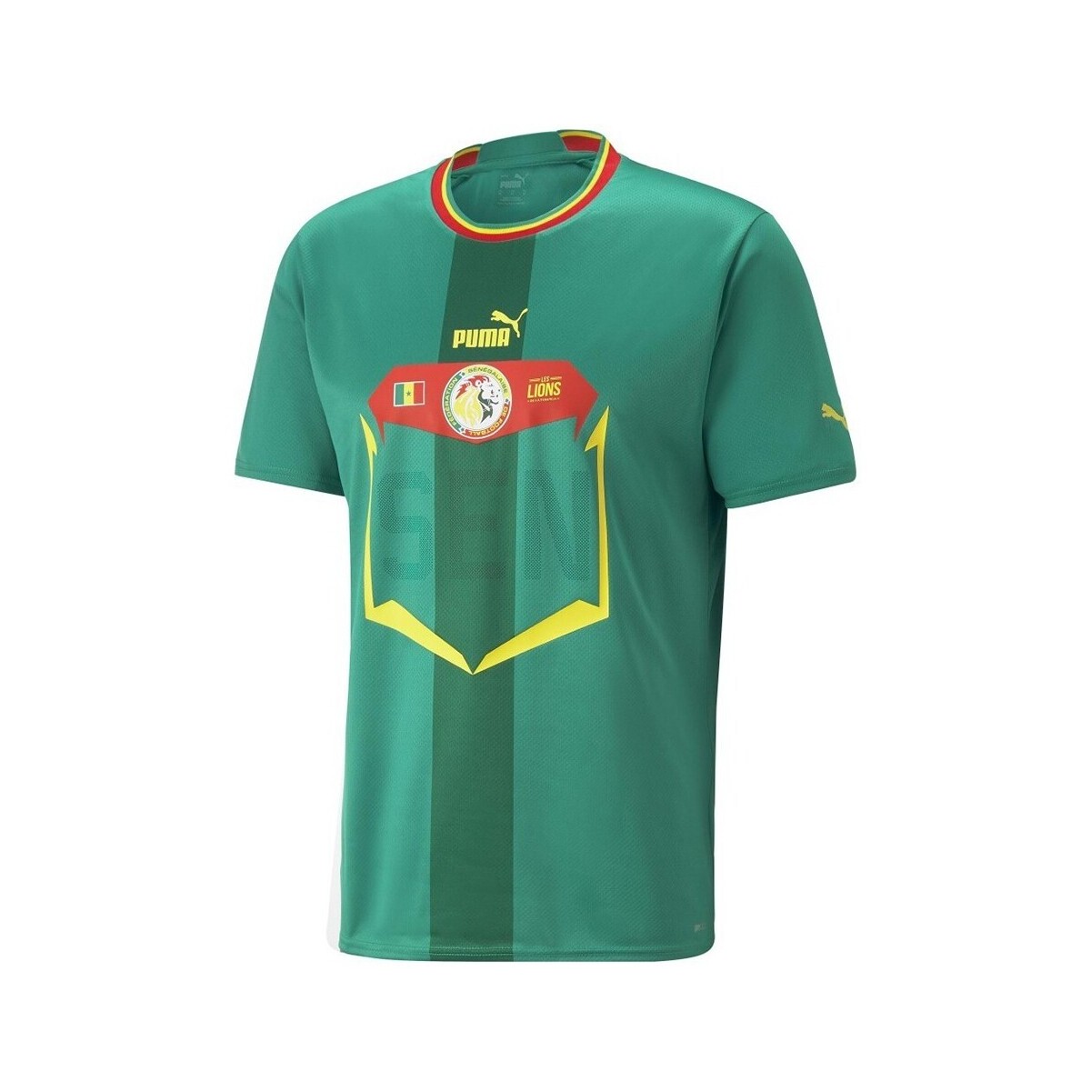 Vêtements Homme T-shirts manches courtes Puma Fsf Away Jersey Vert
