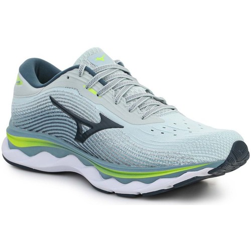 Chaussures Homme Running / trail Mizuno Charge Wave Sky 5 Bleu