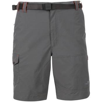 Vêtements Homme Shorts / Bermudas Trespass Rathkenny Gris