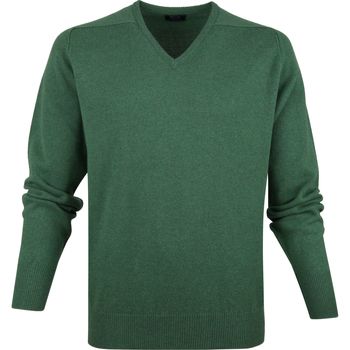 Vêtements Homme Sweats William Lockie Col-V Agneline Vert Vert