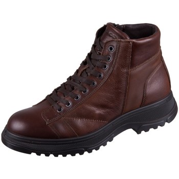 Chaussures Homme Baskets montantes IgI&CO Cosmo Marron