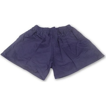 Vêtements Homme Shorts / Bermudas Carta Sport  Bleu