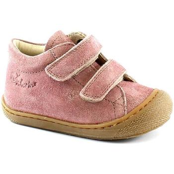 Chaussures Enfant Chaussons bébés Naturino NAT-I22-12904-RO Rose