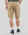 Vêtements Homme Shorts / Bermudas Oxbow P10RAGO Beige