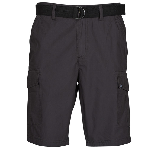 Vêtements Homme Shorts loose / Bermudas Oxbow P10RAGO Gris foncé