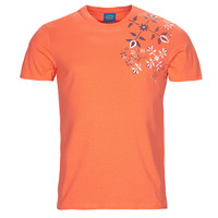 Vêtements Homme T-shirts manches courtes Oxbow P1TASTA Orange