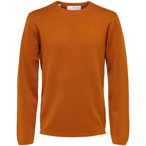 Vêtements Homme Pulls Selected 139630VTAH22 Orange