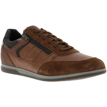 Chaussures Homme Baskets basses Geox 17278CHAH22 Marron