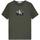 Vêtements Garçon T-shirts manches courtes Calvin Klein Jeans  Vert