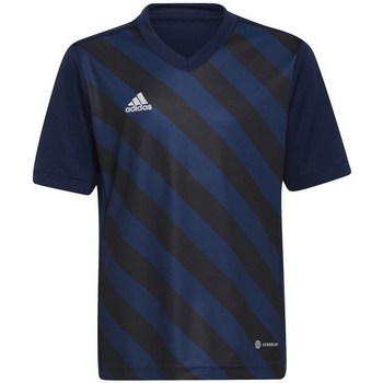 Vêtements Garçon T-shirts manches courtes adidas girls Originals Entrada 22 Graphic Jersey Bleu marine, Noir