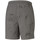 Vêtements Homme Shorts / Bermudas Puma 520394-44 Gris