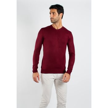 Vêtements Homme Pulls Hollyghost Pull fin col V YY03 - Bordeaux Rouge
