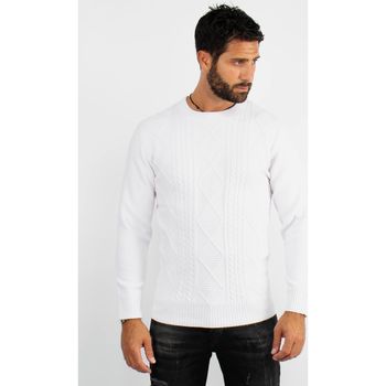 Vêtements Homme Pulls Hollyghost Pull col rond en maille blanc Blanc