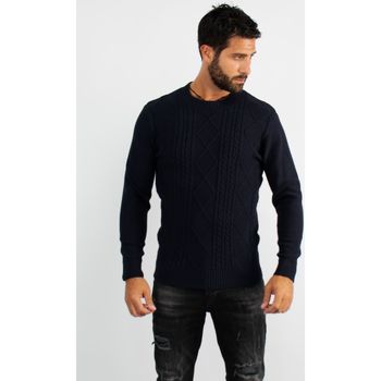 Vêtements Homme Pulls Hollyghost Pull col rond en maille marine Bleu