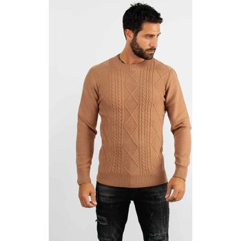 Vêtements Homme Pulls Hollyghost Pull col rond en maille camel Marron