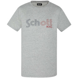 Vêtements Homme T-shirts manches courtes Schott TSSTAR22 Gris