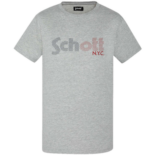 Vêtements Homme T-shirts & Polos Schott TSSTAR22 Gris