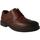Chaussures Homme Derbies & Richelieu Comfort  Marron