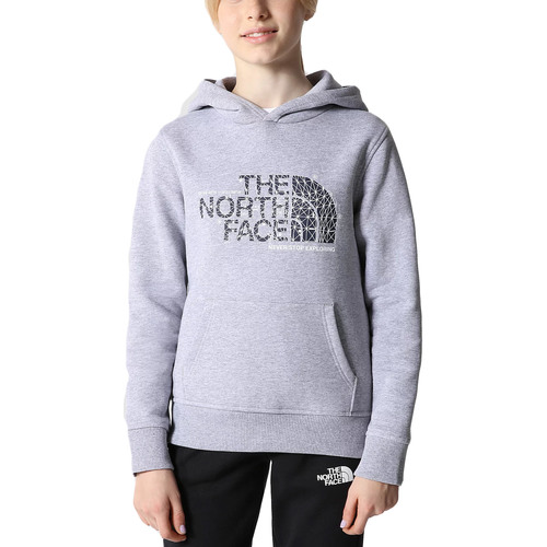Vêtements Enfant Sweats The North Face Drew Peak Gris