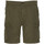 Vêtements Homme Shorts / Bermudas Schott TRBURBON30CA Vert