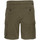 Vêtements Homme Shorts / Bermudas Schott TRBURBON30CA Vert