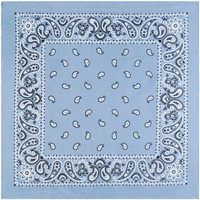 Accessoires textile Echarpes / Etoles / Foulards Allée Du Foulard Bandana U.S Premium Bleu ciel