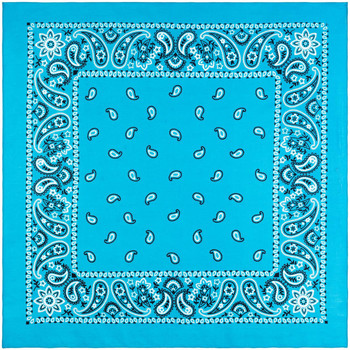 Accessoires textile Echarpes / Etoles / Foulards Allée Du Foulard Bandana U.S Premium Turquoise
