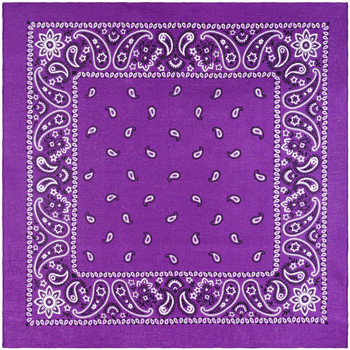 Accessoires textile Echarpes / Etoles / Foulards Allée Du Foulard Bandana U.S Premium Violet