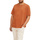 Vêtements Homme T-shirts women manches courtes Tom Tailor 138920VTAH22 Orange