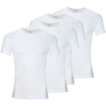 Vêtements Homme T-shirts manches courtes Athena Lot de 4 tee-shirt col rond homme Coton Bio Blanc