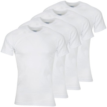 Vêtements Homme T-shirts manches courtes Athena Lot de 4 Tee-shirt col V homme Coton Bio Blanc