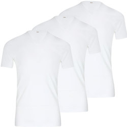 Vêtements Homme T-shirts manches courtes Eminence Lot de 3 Tee-shirt homme col V Les Classiques blanc