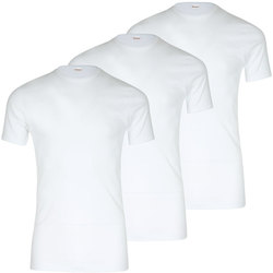 Vêtements Homme T-shirts manches courtes Eminence Lot de 3 tee-shirt homme col rond Les Classiques blanc