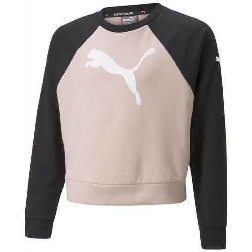 Vêtements Fille Sweats Puma SWEATSHIRT MDRN SPT CREW JUNIOR - ROSE QUARTZ - 128 Multicolore