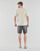 Vêtements Homme T-shirts manches courtes Volcom STONE ENCHANTMENT BSC SST Gris