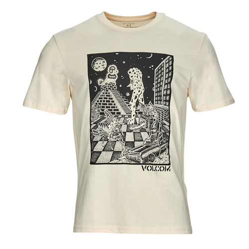 Volcom STONE ENCHANTMENT BSC SST Gris - Vêtements T-shirts manches courtes  Homme 28,90 €