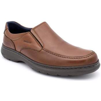 Chaussures Homme Mocassins Notton 303 Marron