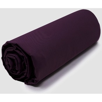 Maison & Déco Draps housse Salomé Prestige Drap housse satin de coton 120 fils - Bonnet 30cm Violet