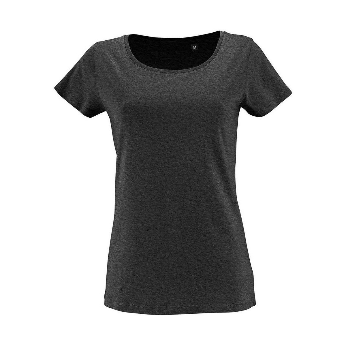 Vêtements Femme T-shirts manches longues Sols 2077 Multicolore