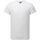 Vêtements Homme T-shirts manches longues Premier Comis Blanc