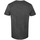 Vêtements Homme T-shirts manches longues Pink Floyd Carnegie Noir