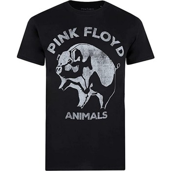 Vêtements Homme Désir De Fuite Pink Floyd  Noir