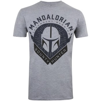 Vêtements Homme T-shirts manches longues Star Wars: The Mandalorian  Gris