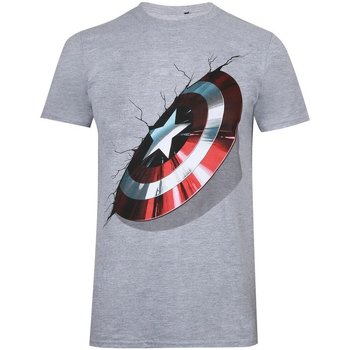 Vêtements Homme T-shirts manches longues Captain America  Gris