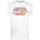 Vêtements Homme T-shirts manches longues Masters Of The Universe  Blanc