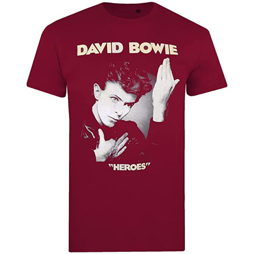 Vêtements Homme T-shirts manches longues David Bowie We Can Be Heroes Just For One Day Multicolore