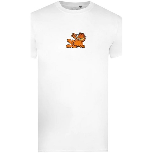 Vêtements Homme T-shirts manches longues Garfield TV1295 Blanc